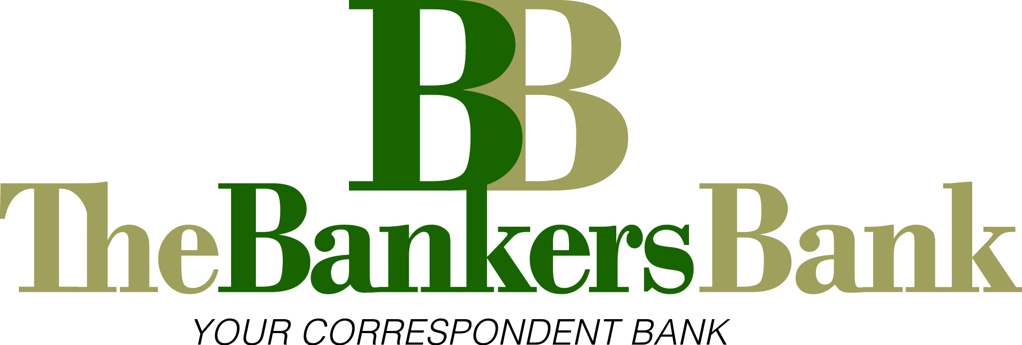 BRONZE Sponsor